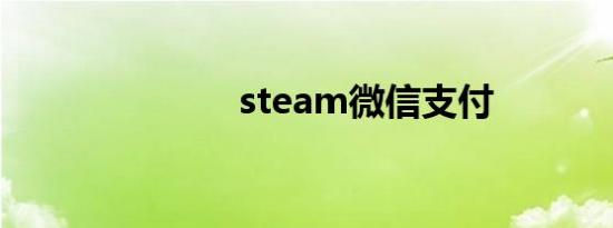 steam微信支付