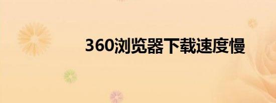360浏览器下载速度慢
