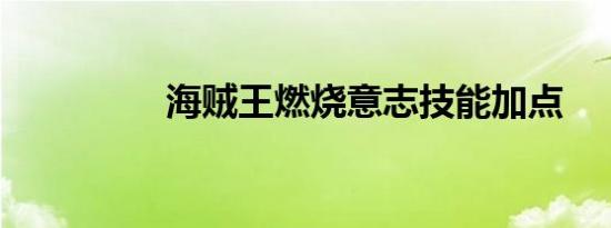 海贼王燃烧意志技能加点
