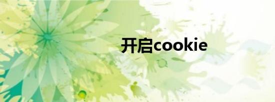 开启cookie
