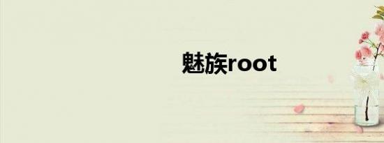 魅族root