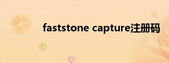 faststone capture注册码