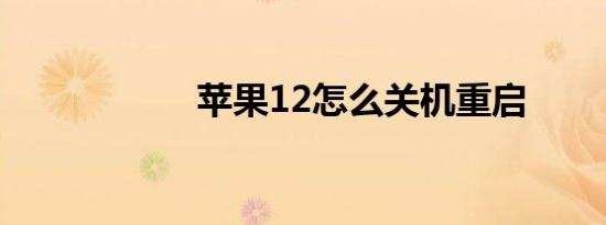 苹果12怎么关机重启