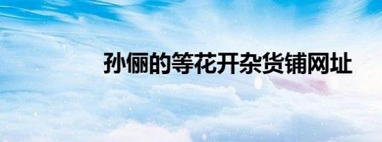 孙俪的等花开杂货铺网址