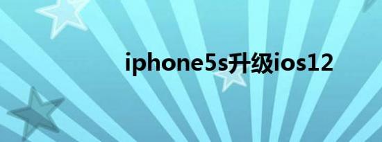 iphone5s升级ios12