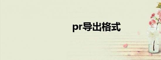 pr导出格式