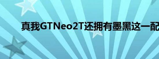 真我GTNeo2T还拥有墨黑这一配色