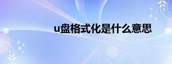 u盘格式化是什么意思