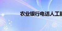 农业银行电话人工服务电话