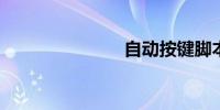 自动按键脚本