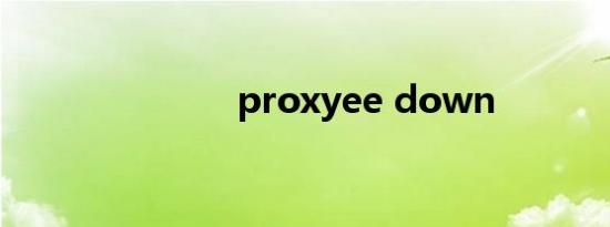 proxyee down
