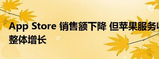 App Store 销售额下降 但苹果服务收入仍将整体增长