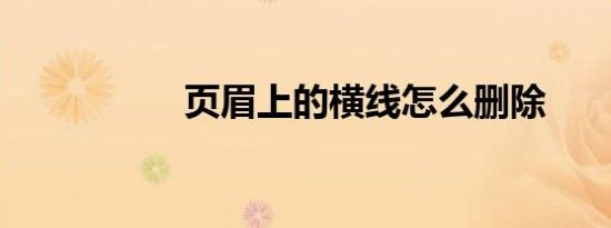 页眉上的横线怎么删除