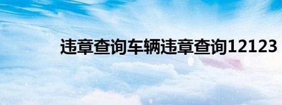 违章查询车辆违章查询12123