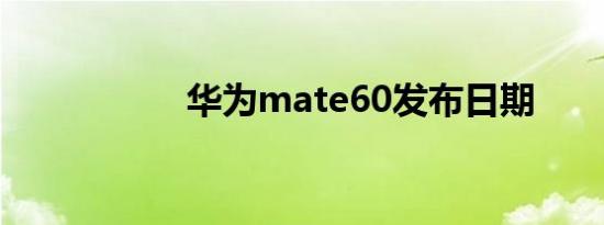 华为mate60发布日期