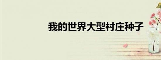 我的世界大型村庄种子