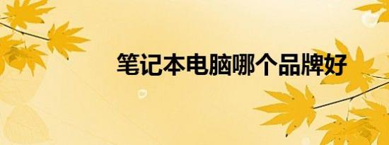笔记本电脑哪个品牌好