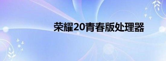 荣耀20青春版处理器