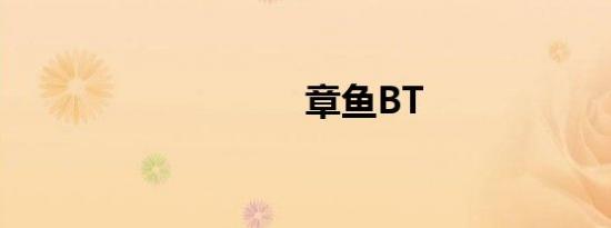章鱼BT