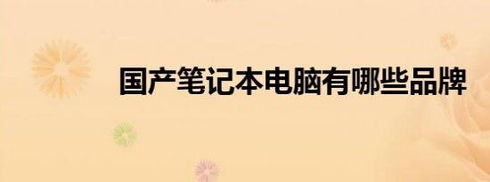 国产笔记本电脑有哪些品牌
