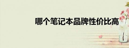 哪个笔记本品牌性价比高