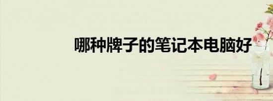 哪种牌子的笔记本电脑好