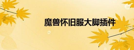 魔兽怀旧服大脚插件