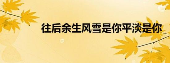 往后余生风雪是你平淡是你