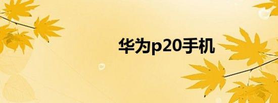 华为p20手机