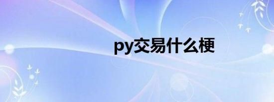 py交易什么梗
