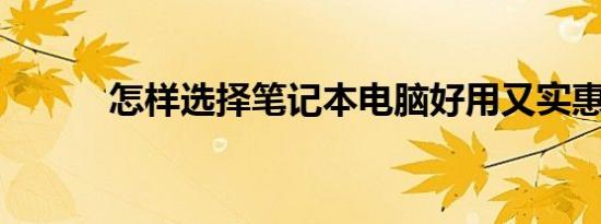 怎样选择笔记本电脑好用又实惠