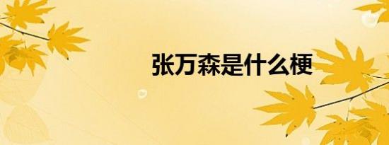 张万森是什么梗
