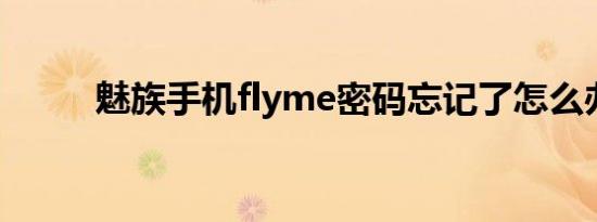 魅族手机flyme密码忘记了怎么办