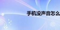 手机没声音怎么回事