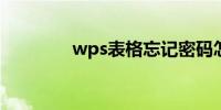 wps表格忘记密码怎么打开