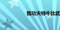 我功夫特牛比武大会