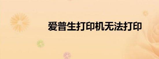 爱普生打印机无法打印