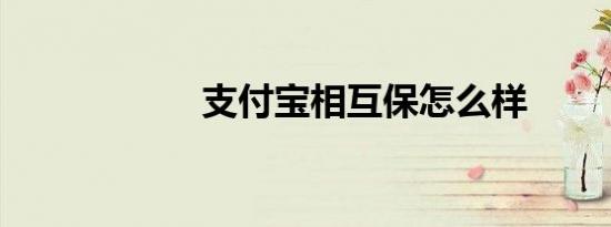 支付宝相互保怎么样
