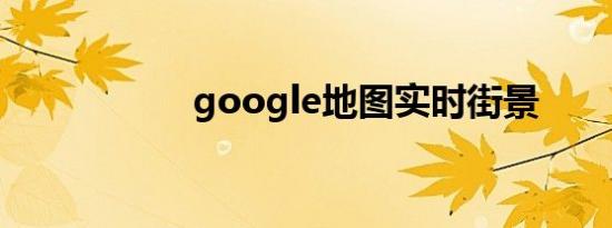 google地图实时街景