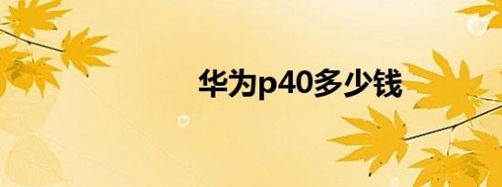 华为p40多少钱