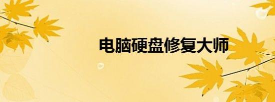 电脑硬盘修复大师