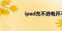 ipad充不进电开不了机