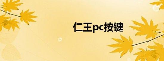 仁王pc按键