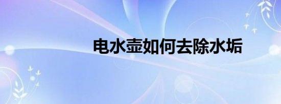 电水壶如何去除水垢