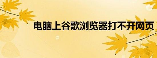 电脑上谷歌浏览器打不开网页