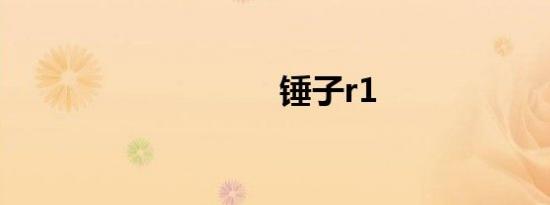 锤子r1