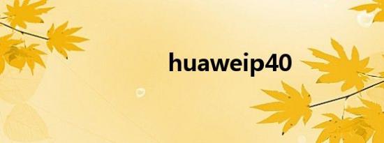 huaweip40