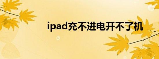 ipad充不进电开不了机