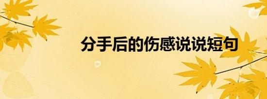 分手后的伤感说说短句