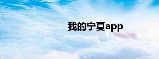 我的宁夏app